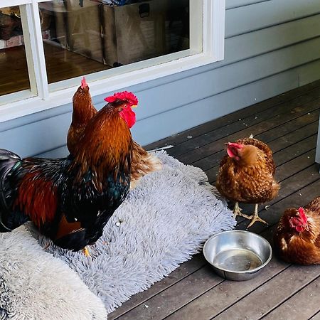 Farm Stay Maple Cottage At Wilindi Estate Tyabb Ngoại thất bức ảnh