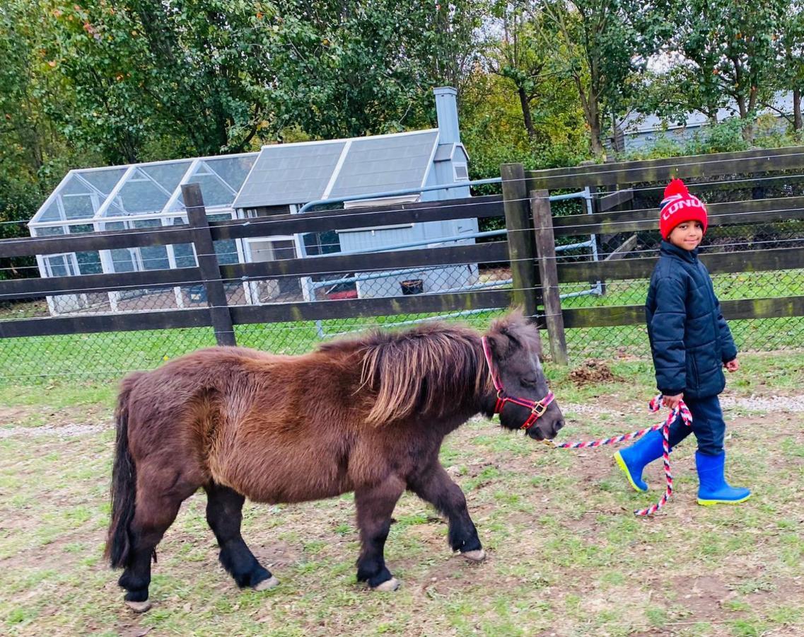 Farm Stay Maple Cottage At Wilindi Estate Tyabb Ngoại thất bức ảnh