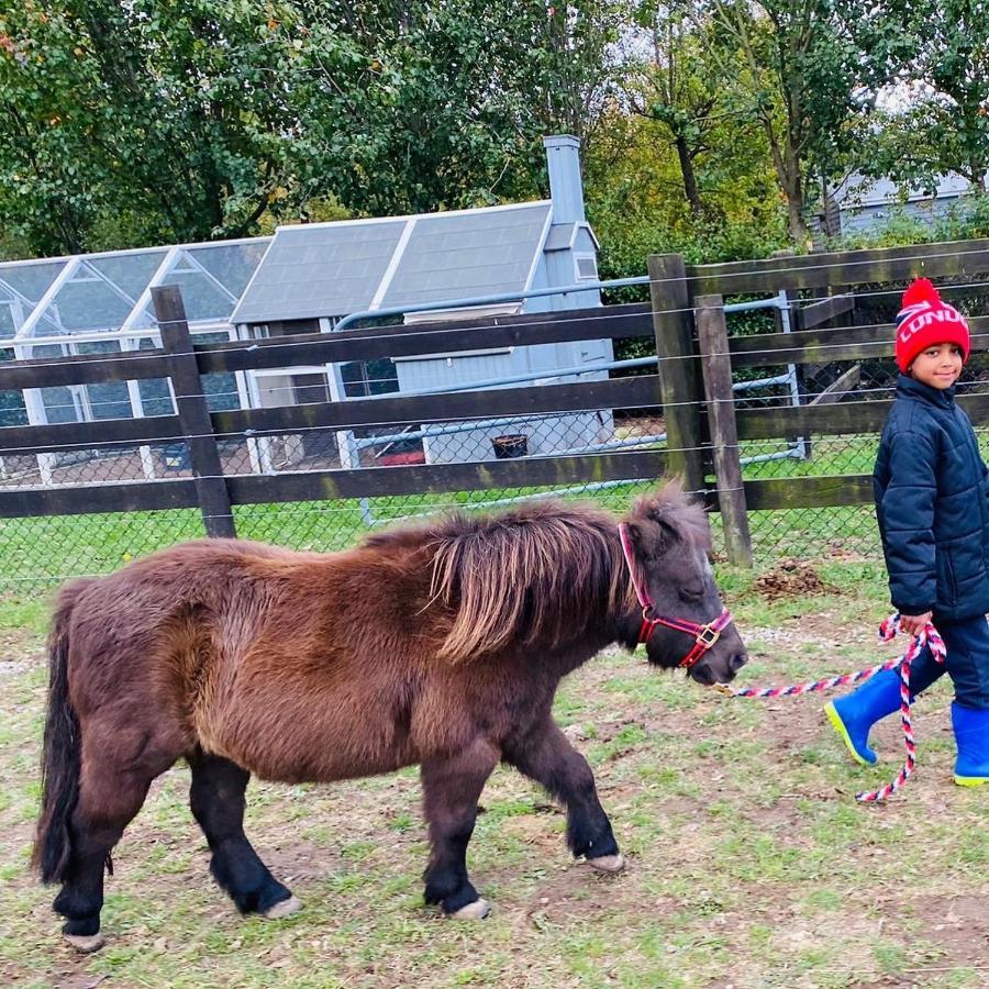 Farm Stay Maple Cottage At Wilindi Estate Tyabb Ngoại thất bức ảnh